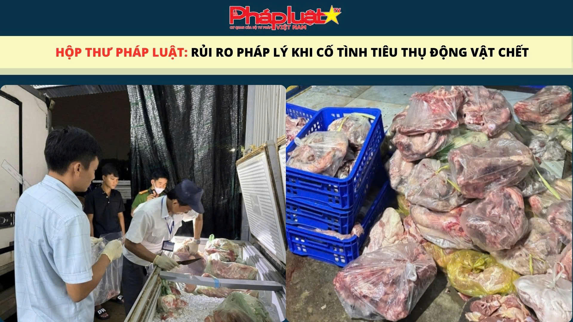 HỘP THƯ PHÁP LUẬT:  Rủi ro pháp lý khi cố tình tiêu thụ động vật chết 