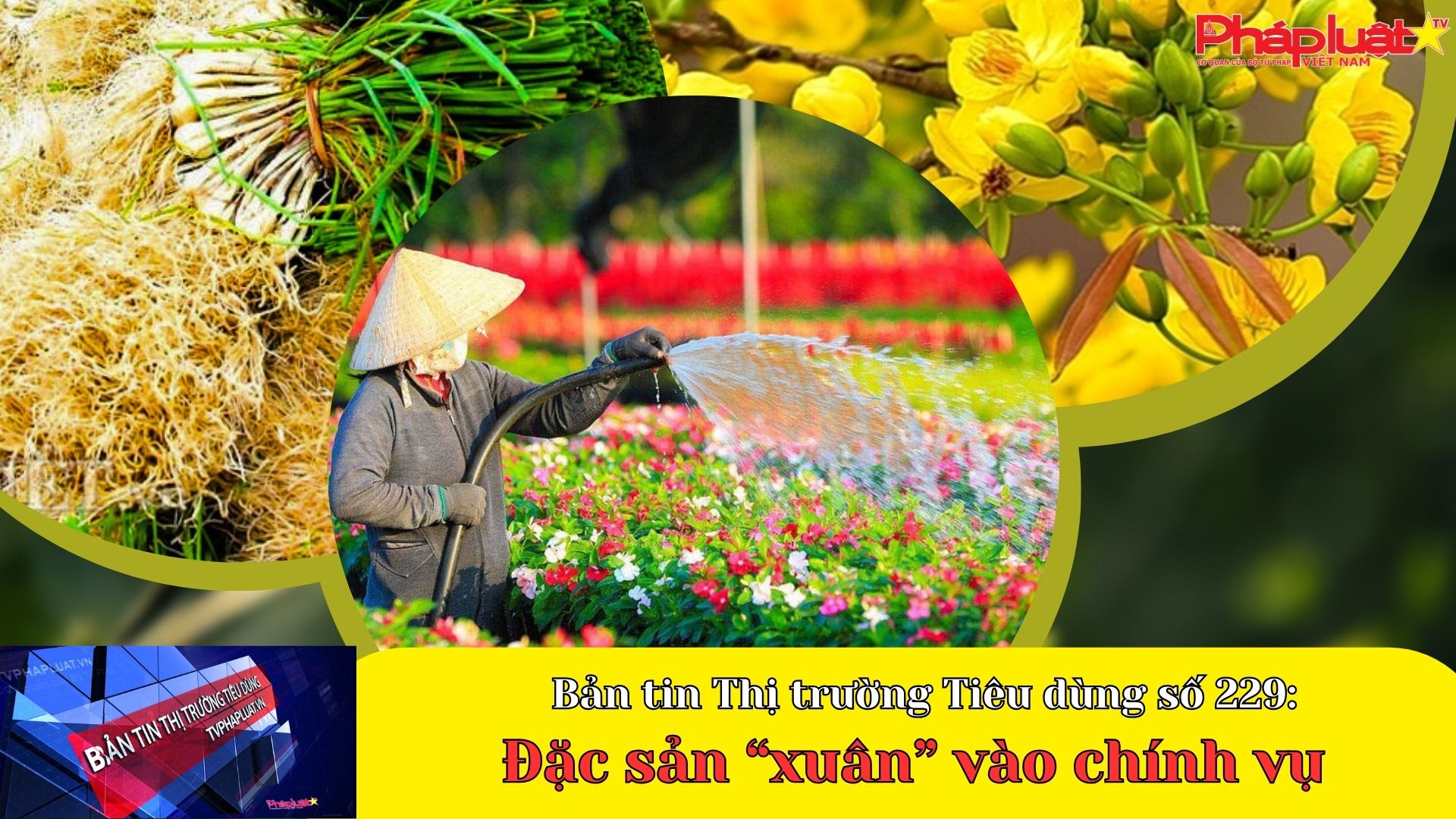 Bản tin Thị trường Tiêu dùng số 229: Đặc sản “xuân” vào chính vụ