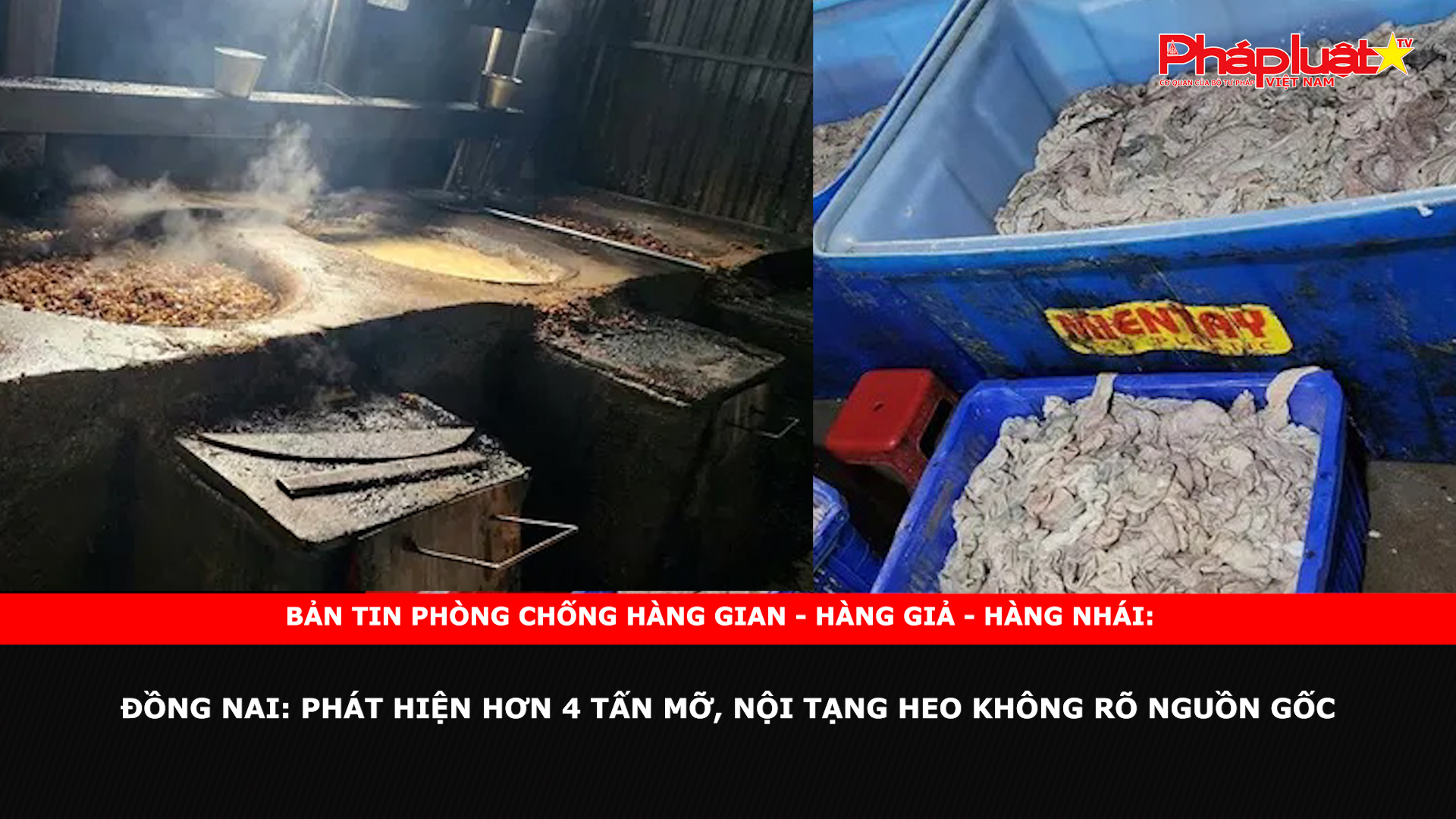 Bản tin chung tay cùng doanh nghiệp phòng chống Hàng gian- Hàng giả- Hàng nhái ngày 15/11/2024 - Đồng Nai: Phát hiện hơn 4 tấn mỡ, nội tạng heo không rõ nguồn gốc