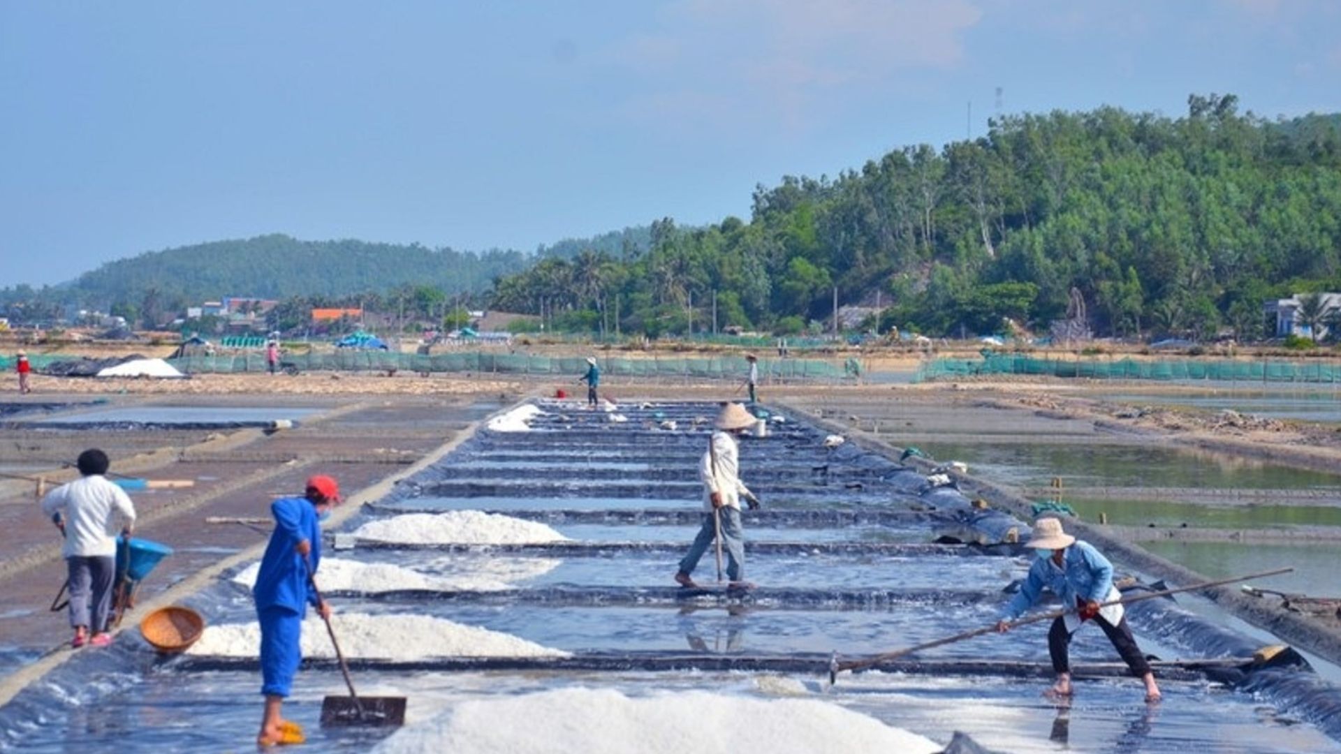 Nghề làm muối Sa Huỳnh được công nhận là Di sản văn hoá phi vật thể quốc gia