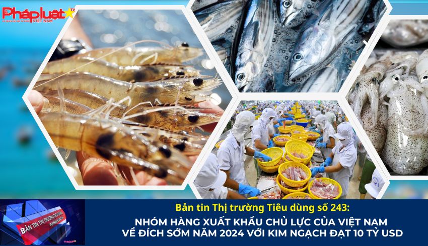 Bản tin Thị trường Tiêu dùng số 243: Nhóm hàng xuất khẩu chủ lực của Việt Nam về đích sớm năm 2024 với kim ngạch đạt 10 tỷ USD