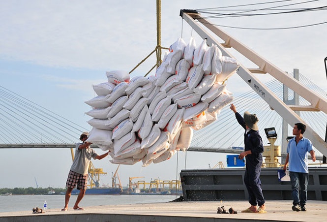 BizNews ngày 15/1/2025: Giá gạo Việt Nam xuất khẩu xuống thấp nhất 2 năm