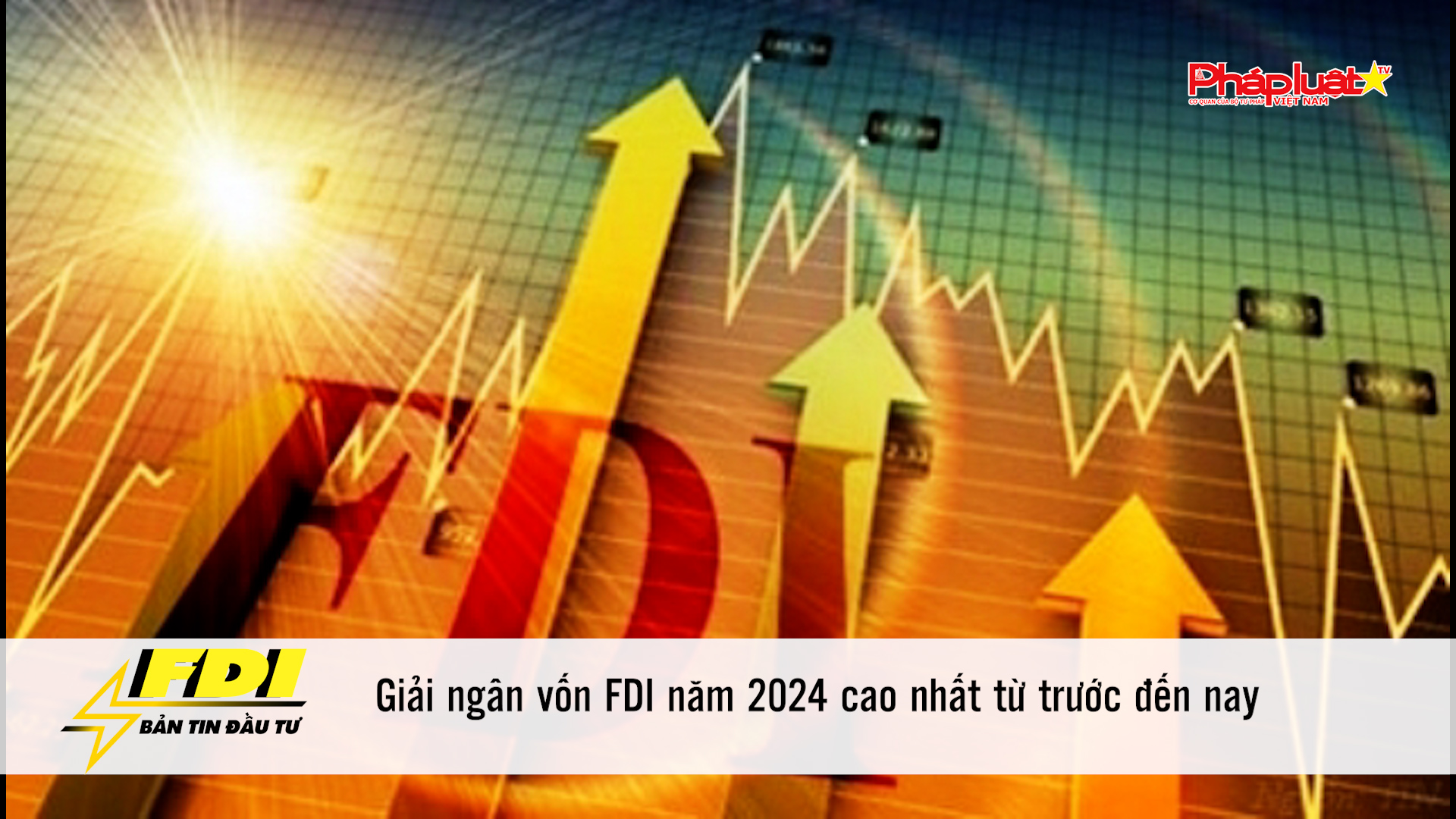 Bản tin Đầu tư FDI: Giải ngân vốn FDI năm 2024 cao nhất từ trước đến nay