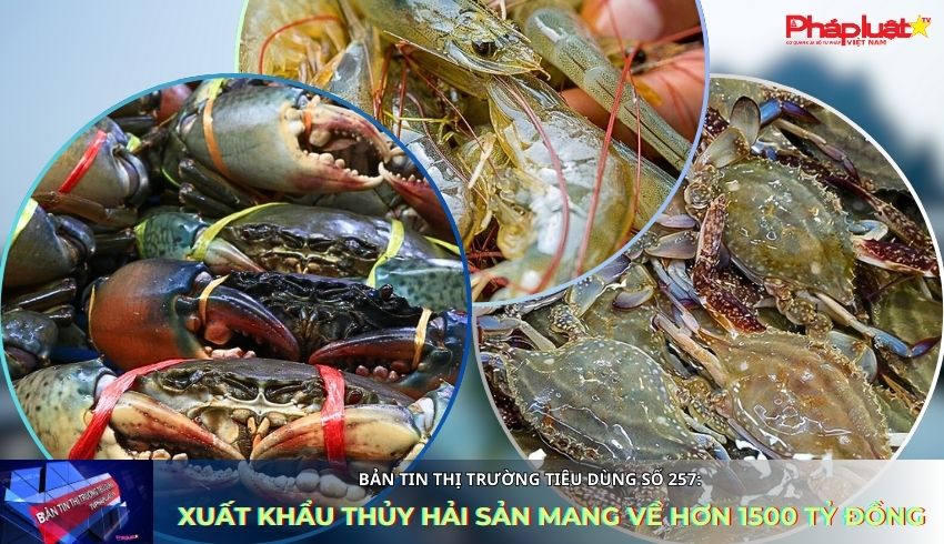 Bản tin Thị trường Tiêu dùng số 257: Xuất khẩu thủy hải sản mang về hơn 1500 tỷ đồng