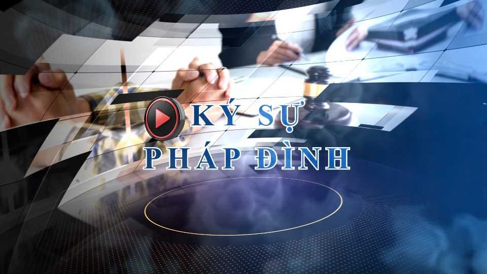 Bản tin Ký sự Pháp đình (ngày 13/4/2025): Lập Ban chỉ đạo liên ngành thu hồi tài sản bị chiếm đoạt, thất thoát trong vụ án Tập đoàn Vạn Thịnh Phát

