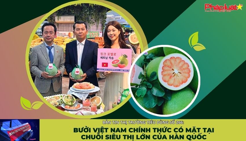 Bản tin Thị trường Tiêu dùng số 266: Bưởi Việt Nam chính thức có mặt tại chuỗi siêu thị lớn của Hàn Quốc