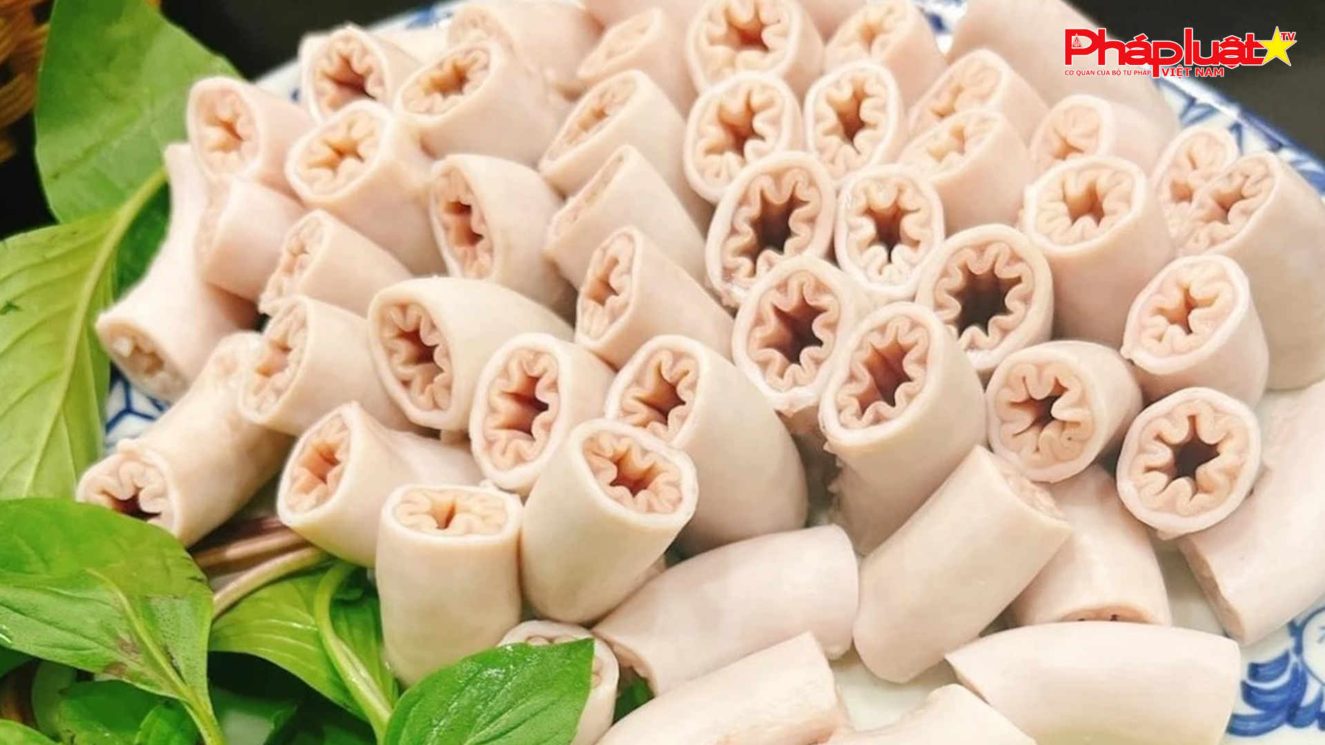 Bản tin An toàn Thực phẩm: Chuyên gia nghi lòng xe điếu là hàng giả, nhập từ Trung Quốc