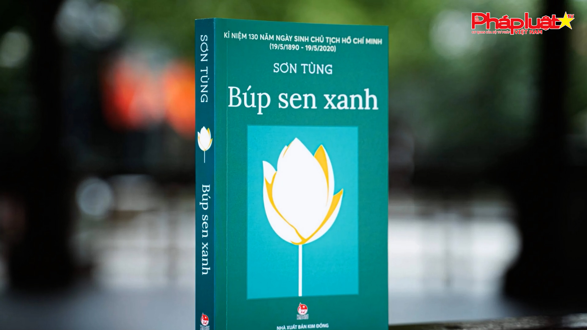 Bản tin Sách và bạn:  “Búp Sen Xanh” – Hành trình tuổi thơ của một vĩ nhân