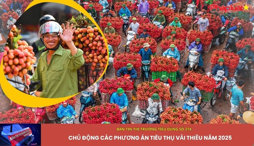 Bản tin Thị trường Tiêu dùng số 274: Chủ động các phương án tiêu thụ vải thiều năm 2025