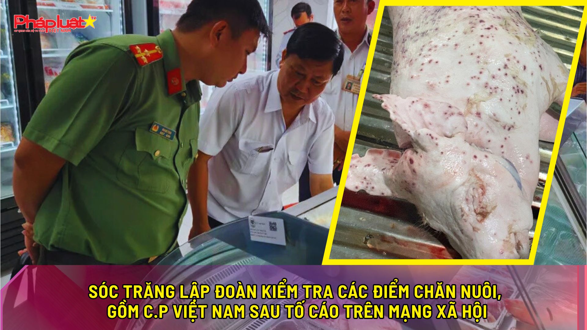 Sóc Trăng lập Đoàn kiểm tra các điểm chăn nuôi, gồm C.P Việt Nam sau tố cáo trên mạng xã hội