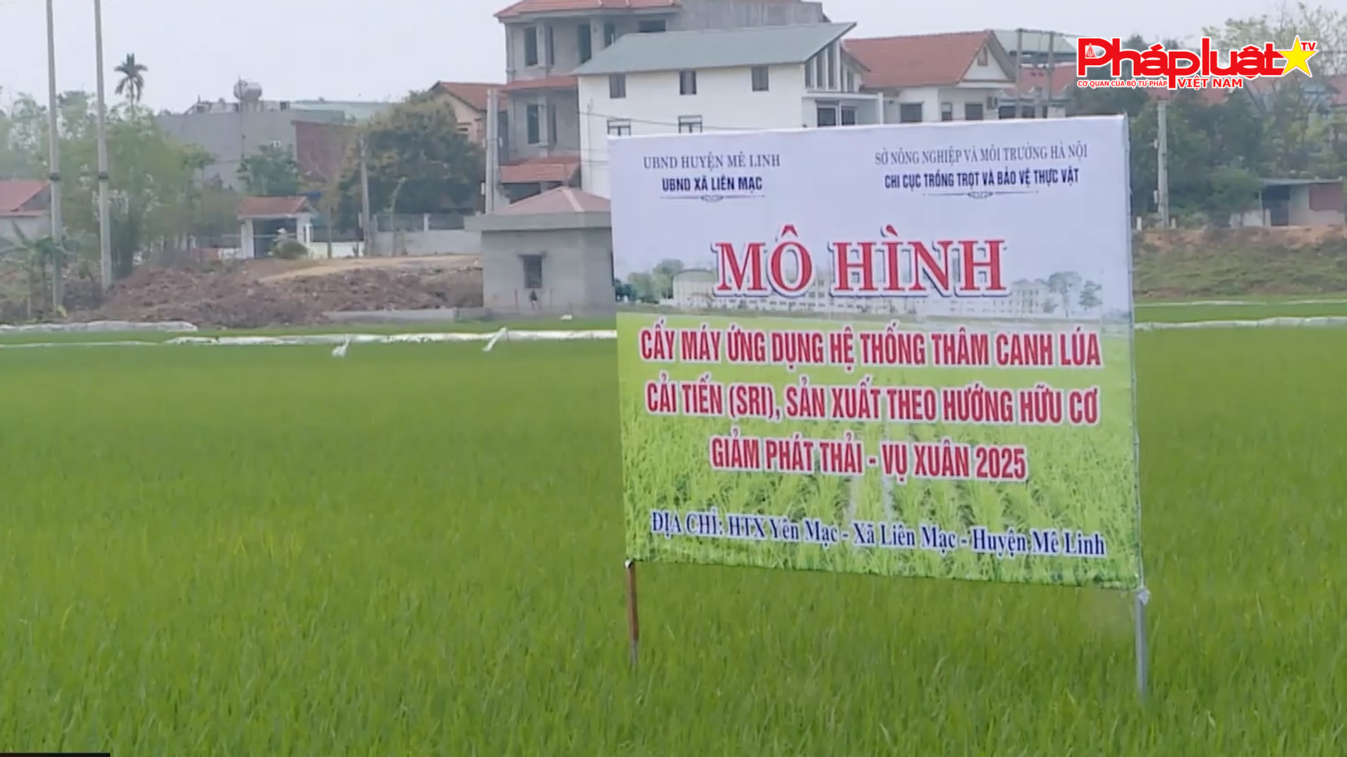 Bản tin Môi trường Pháp luật (ngày 1/6/2025): Thông tư mới của Bộ Công an nâng cao kiểm định khí thải công nghiệp từ 1/6