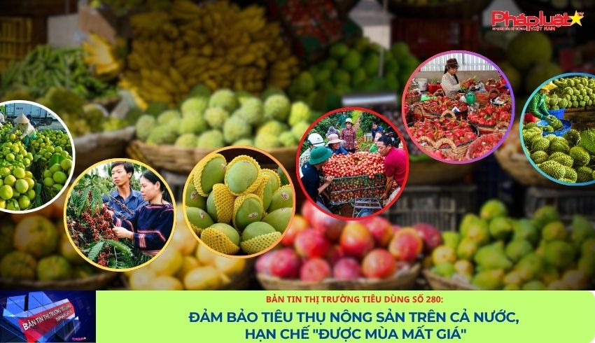 Bản tin Thị trường Tiêu dùng số 280: Đảm bảo tiêu thụ nông sản trên cả nước, hạn chế 