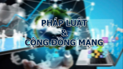 Bản tin Pháp luật & Cộng đồng mạng (ngày 13/6/2025): Tạm đình chỉ công tác cán bộ đội thuế xưng 'mày, tao' với người dân