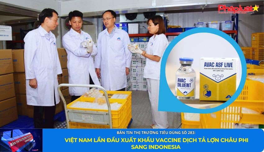 Bản tin Thị trường Tiêu dùng số 283: Việt Nam lần đầu xuất khẩu vaccine dịch tả lợn châu Phi sang Indonesia
