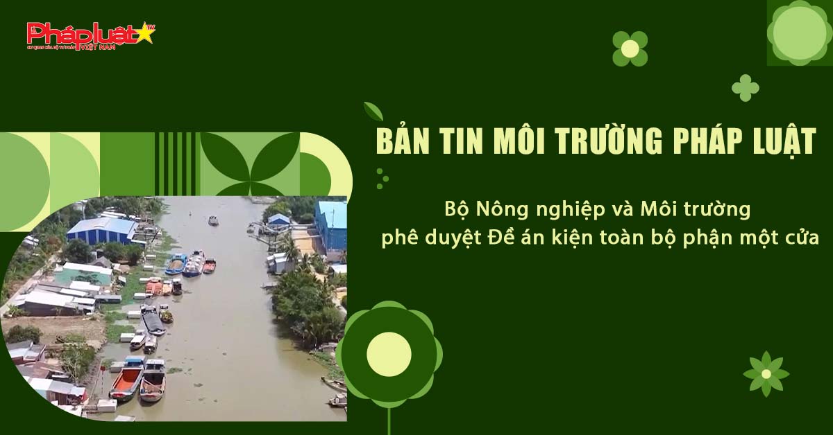 Bản tin Môi trường Pháp luật (ngày 26/6/2025): Bộ Nông nghiệp và Môi trường phê duyệt Đề án kiện toàn bộ phận một cửa