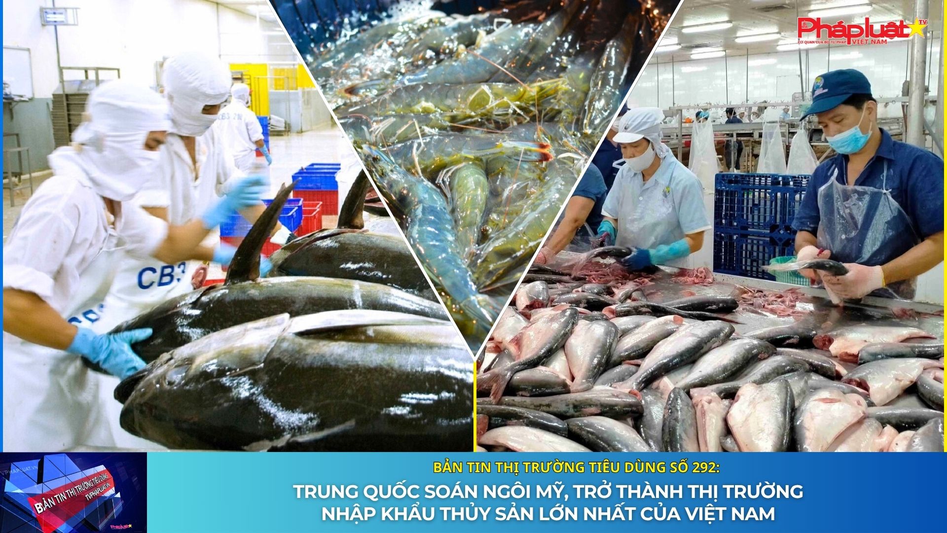 Bản tin Thị trường Tiêu dùng số 292: Trung Quốc soán ngôi Mỹ, trở thành thị trường nhập khẩu thủy sản lớn nhất của Việt Nam 