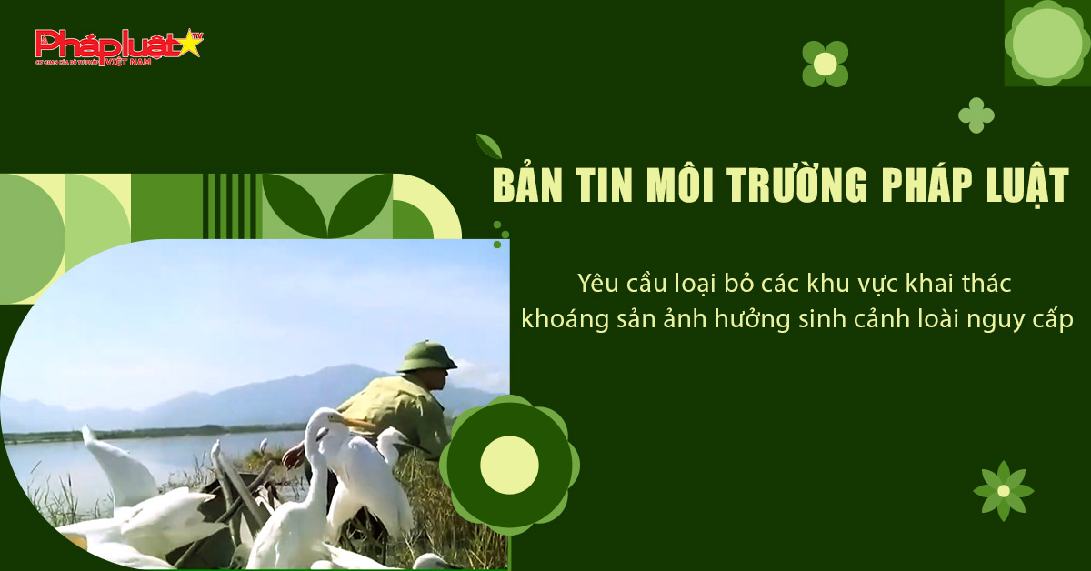 Bản tin Môi trường Pháp luật (ngày 10/8/2025): Yêu cầu loại bỏ các khu vực khai thác khoáng sản ảnh hưởng sinh cảnh loài nguy cấp