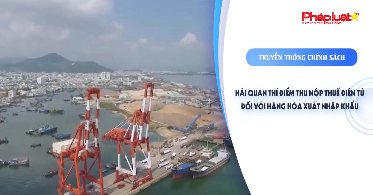 Bản tin Truyền thông chính sách (ngày 10/8/2025): Hải quan thí điểm thu nộp thuế điện tử đối với hàng hóa xuất nhập khẩu

