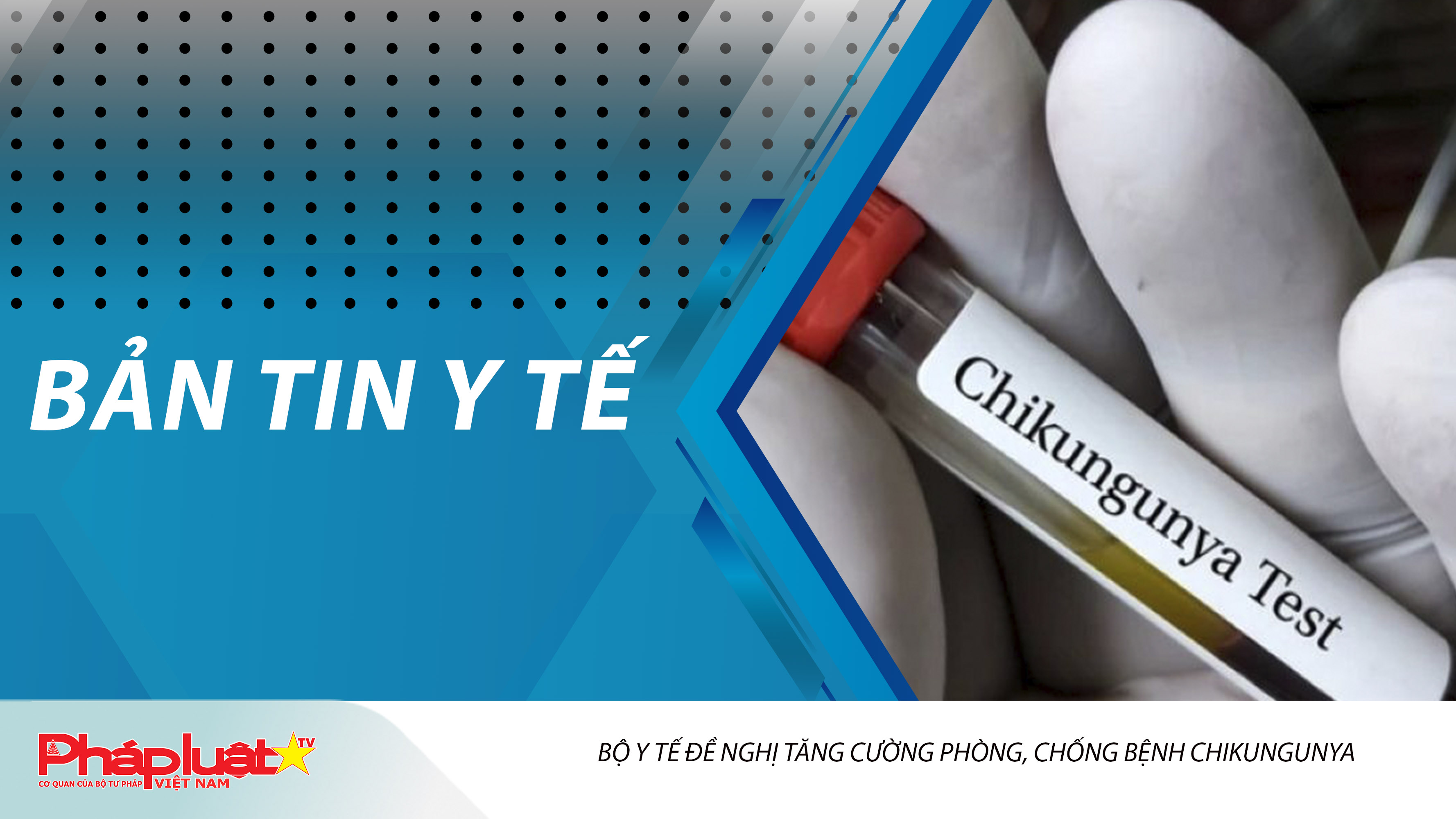Bản tin Y tế (ngày 12/08/2025): Bộ Y tế đề nghị tăng cường phòng, chống bệnh Chikungunya