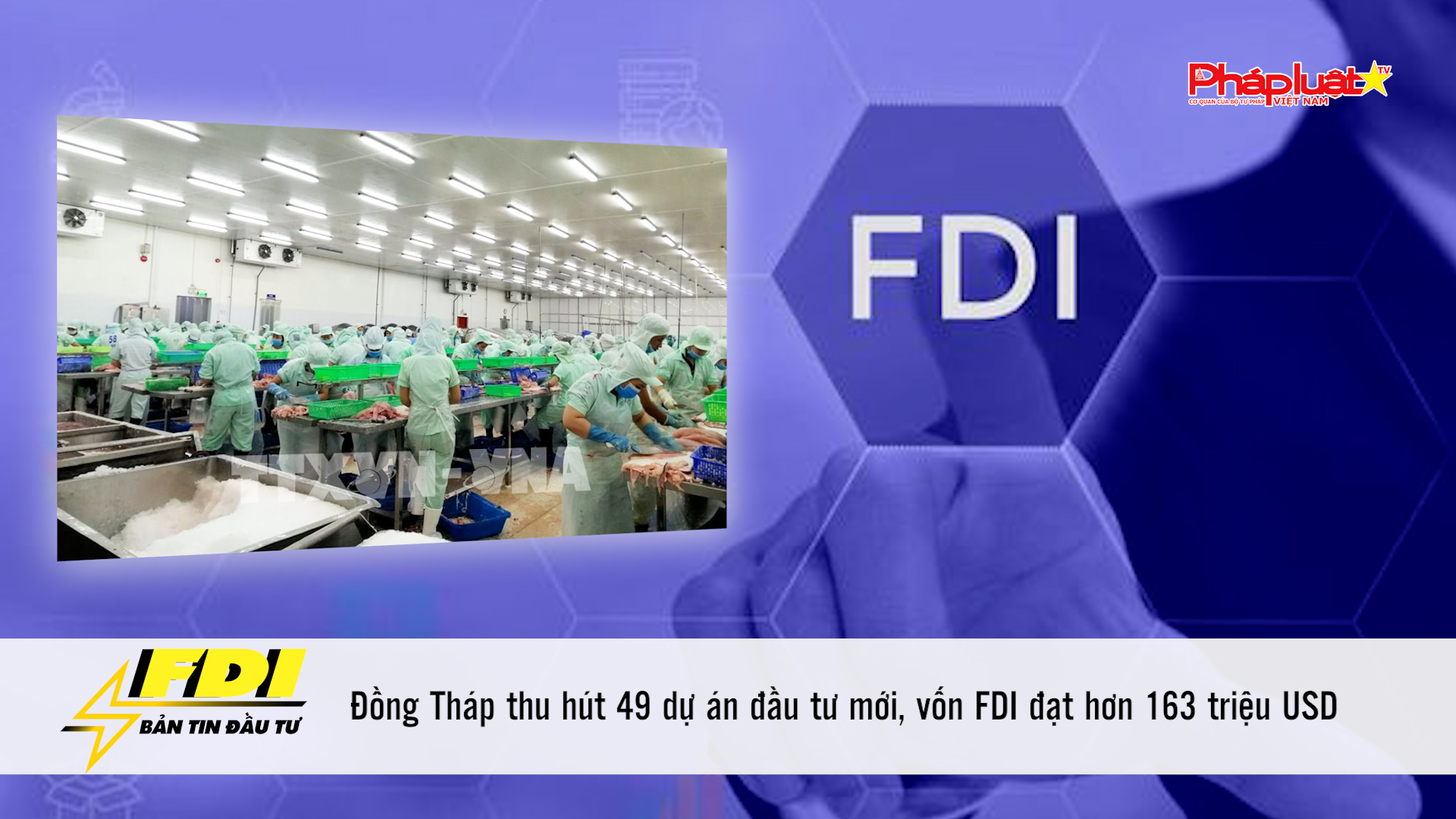 Bản tin Đầu tư FDI (16/8/2025): Đồng Tháp thu hút 49 dự án đầu tư mới, vốn FDI đạt hơn 163 triệu USD