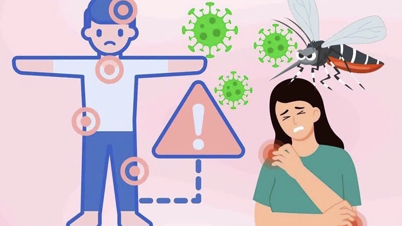 Việt Nam đối mặt nguy cơ xâm nhập bệnh Chikungunya