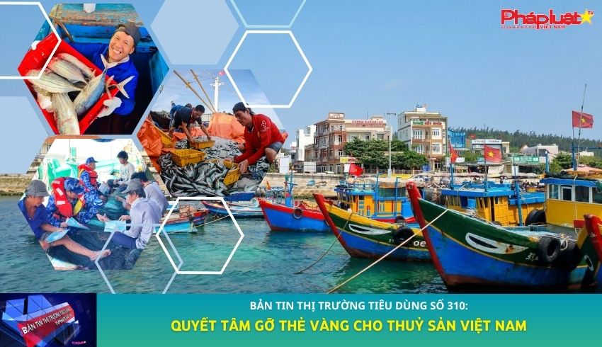 Bản tin Thị trường Tiêu dùng số 310: Quyết tâm gỡ thẻ vàng cho Thuỷ sản Việt Nam