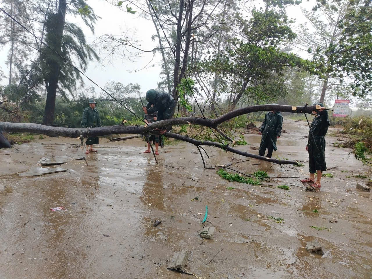 Đồn Biên phòng Quỳnh Phương hỗ trợ nhân dân khắc phục hậu quả bão số 10
