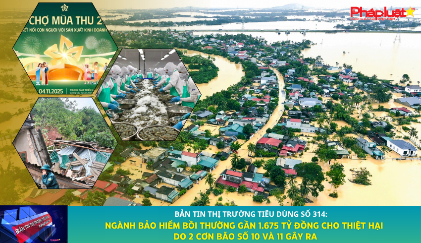 Bản tin Thị trường Tiêu dùng số 314: Ngành bảo hiểm bồi thường gần 1.675 tỷ đồng cho thiệt hại do 2 cơn bão số 10 và 11 gây ra