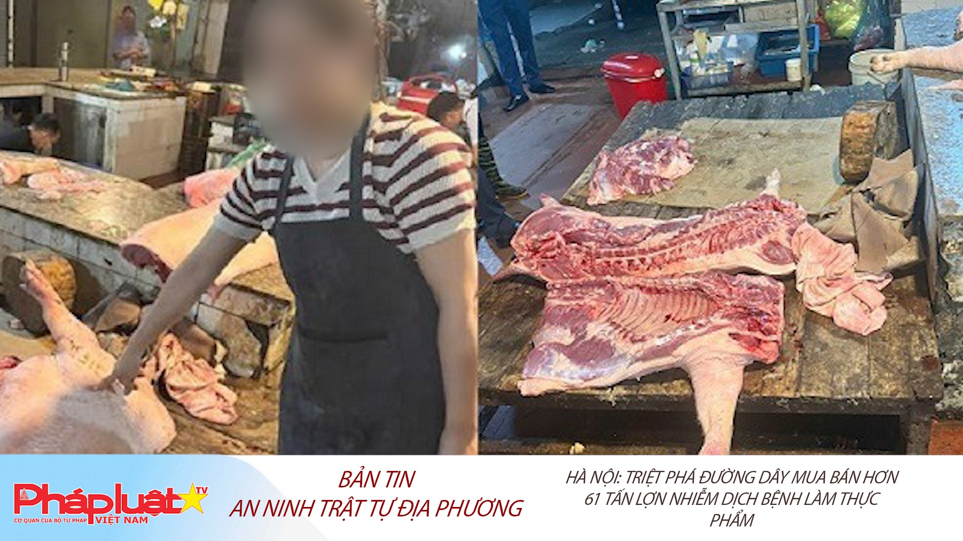 Bản tin An ninh trật tự địa phương (ngày 23/10/2025): Hà Nội: Triệt phá đường dây mua bán hơn 61 tấn lợn nhiễm dịch bệnh làm thực phẩm