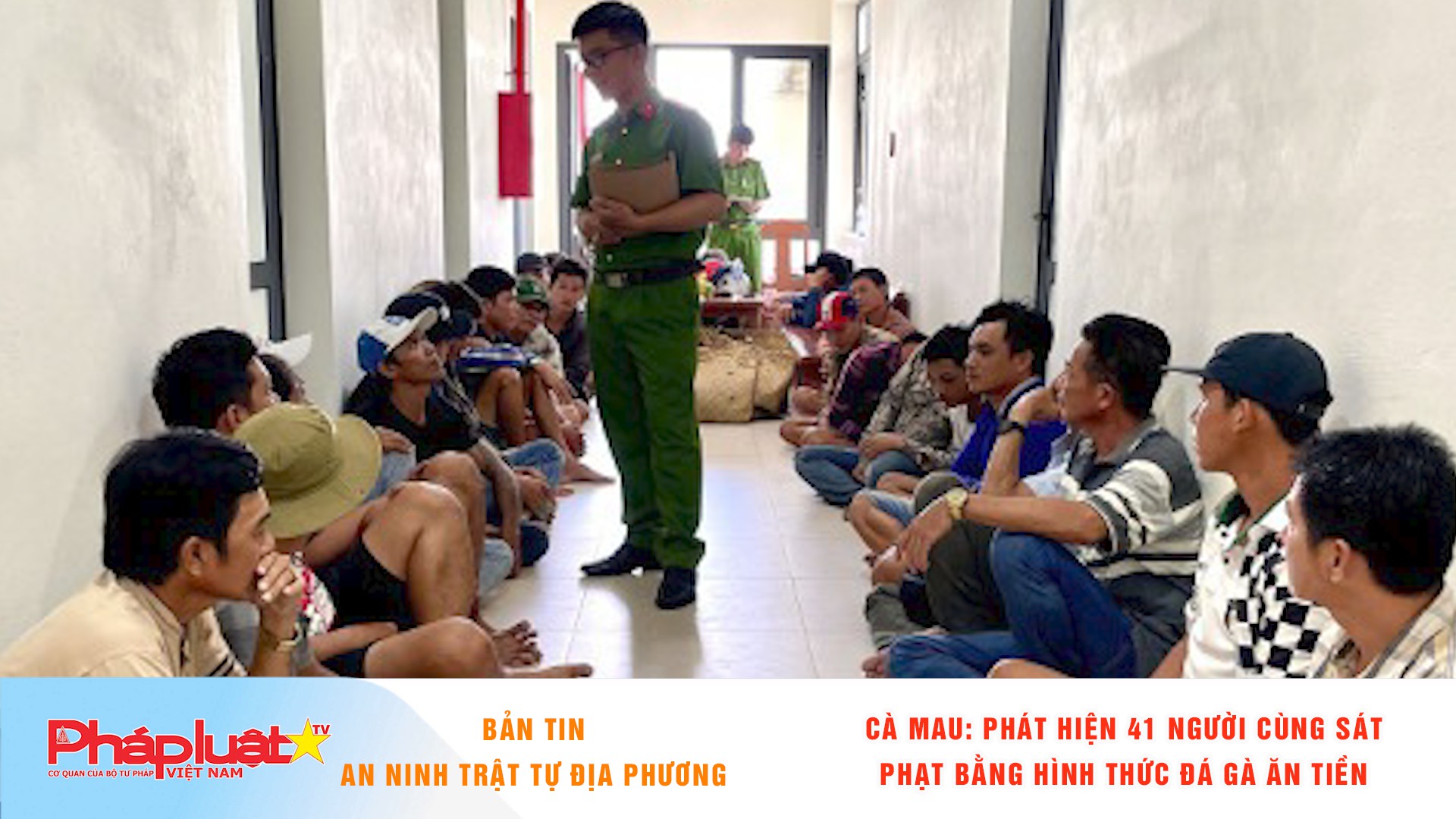 Bản tin An ninh trật tự địa phương (ngày 03/11/2025): Cà Mau: Phát hiện 41 người cùng sát phạt bằng hình thức đá gà ăn tiền