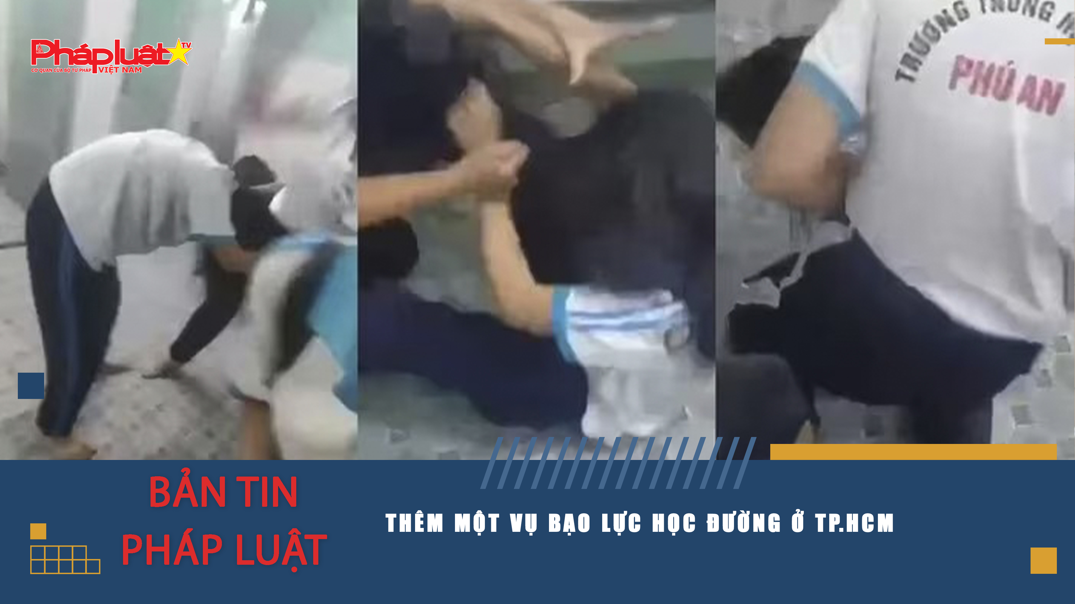 Bản tin Pháp luật (ngày 08/11/2025): Thêm một vụ bạo lực học đường ở TP.HCM