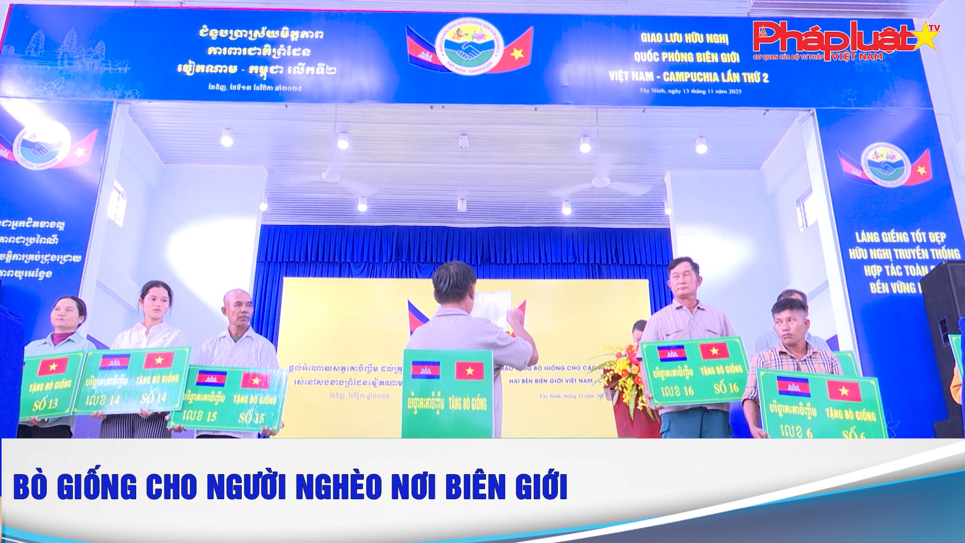 Bò giống cho người nghèo nơi biên giới