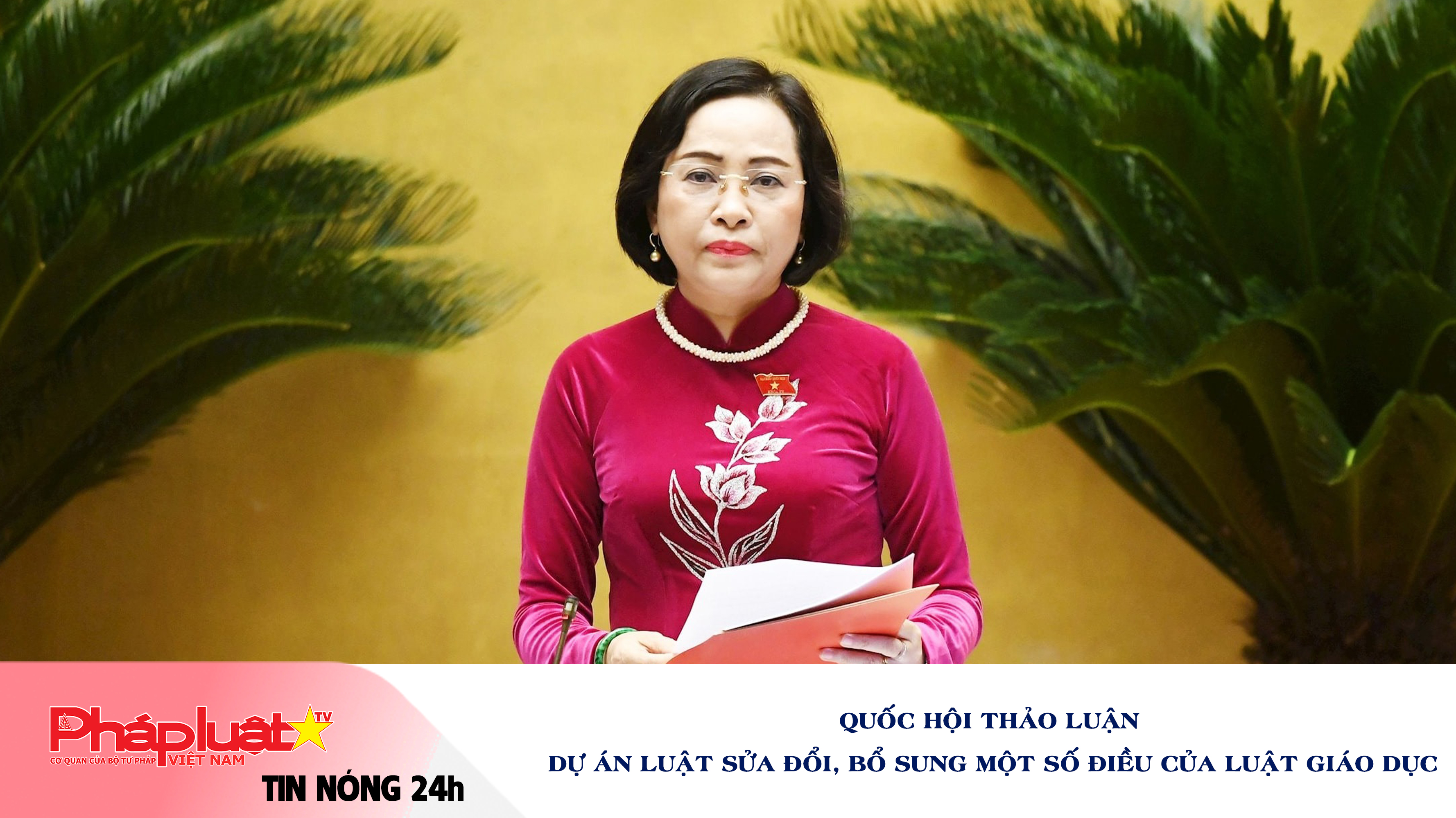 Tin nóng 24h (ngày 20/11/2025): Quốc hội thảo luận Dự án Luật sửa đổi, bổ sung một số điều của Luật Giáo dục
