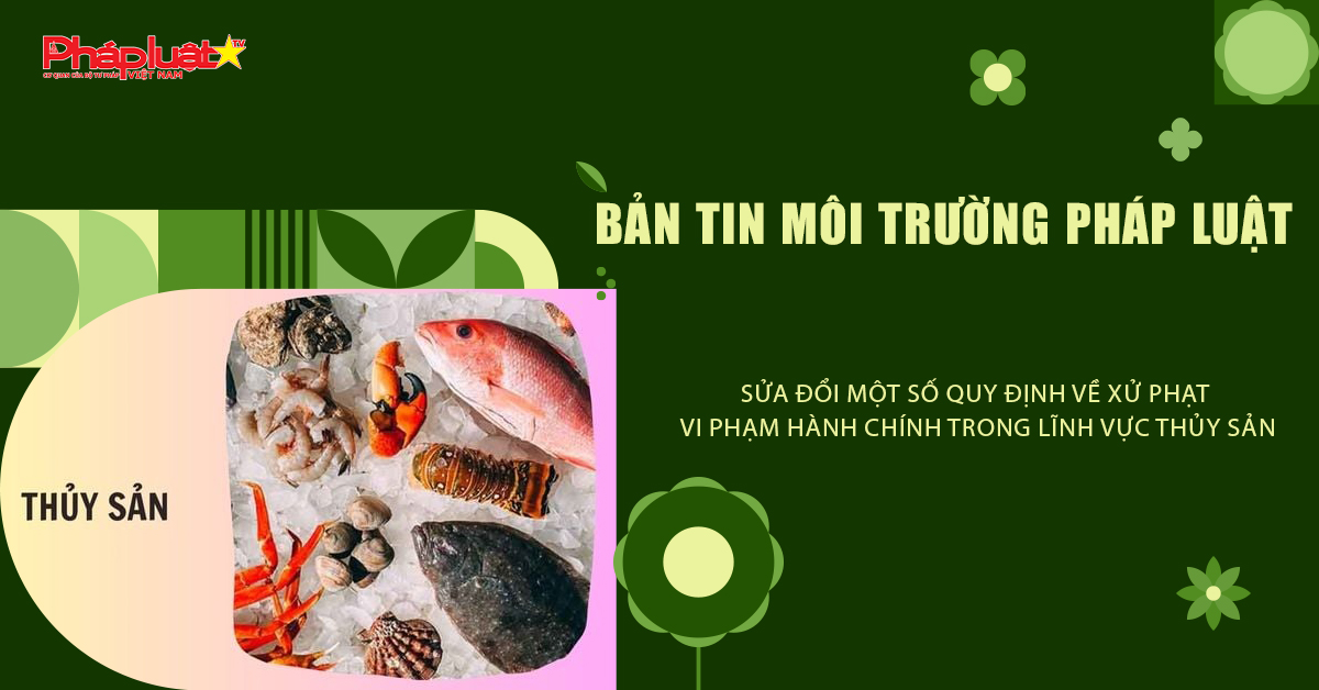 Bản tin Môi trường Pháp luật (ngày 23/11/2025): Sửa đổi một số quy định về xử phạt vi phạm hành chính trong lĩnh vực thủy sản