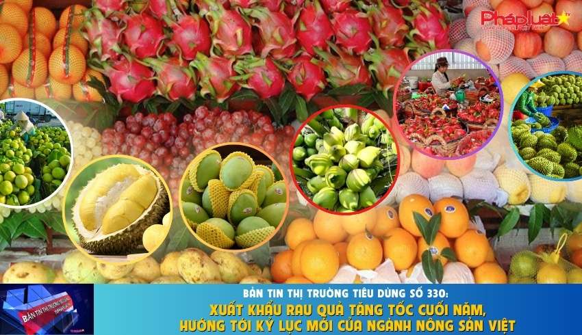 Bản tin Thị trường Tiêu dùng số 330: Xuất khẩu rau quả tăng tốc cuối năm, hướng tới kỷ lục mới của ngành nông sản Việt