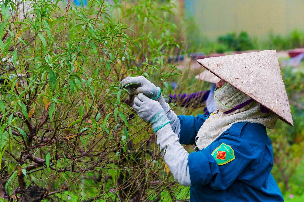 Nhật Tân - Dương Nội chạy đua để 