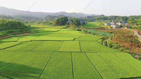 Từ năm 2026, chuyển đất nông nghiệp sang đất ở chỉ phải nộp 30%