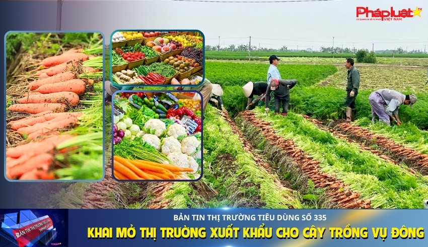 Bản tin Thị trường Tiêu dùng số 335: Khai mở thị trường xuất khẩu cho cây trồng vụ đông