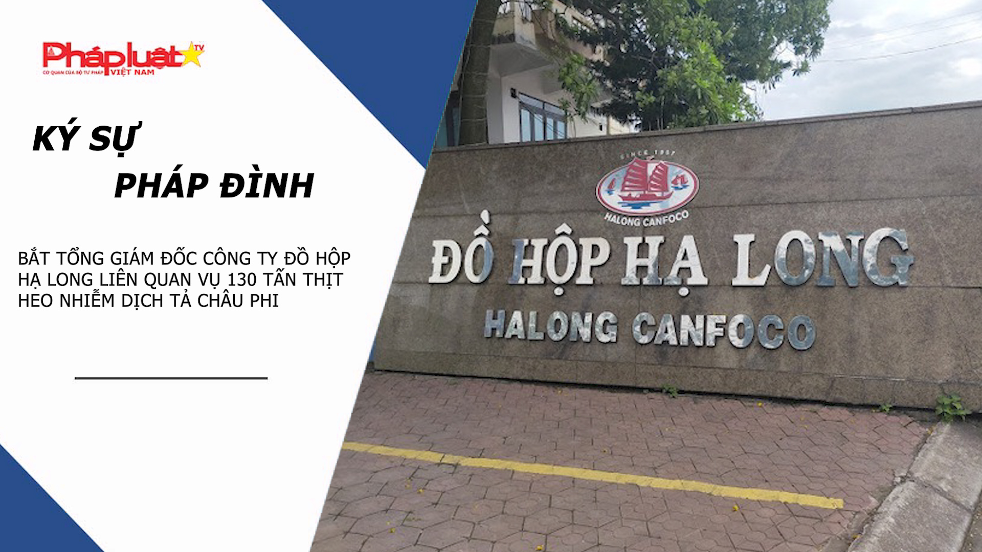 Bản tin Ký sự Pháp đình (ngày 14/1/2026): Bắt Tổng Giám đốc Công ty Đồ hộp Hạ Long liên quan vụ 130 tấn thịt heo nhiễm dịch tả châu Phi