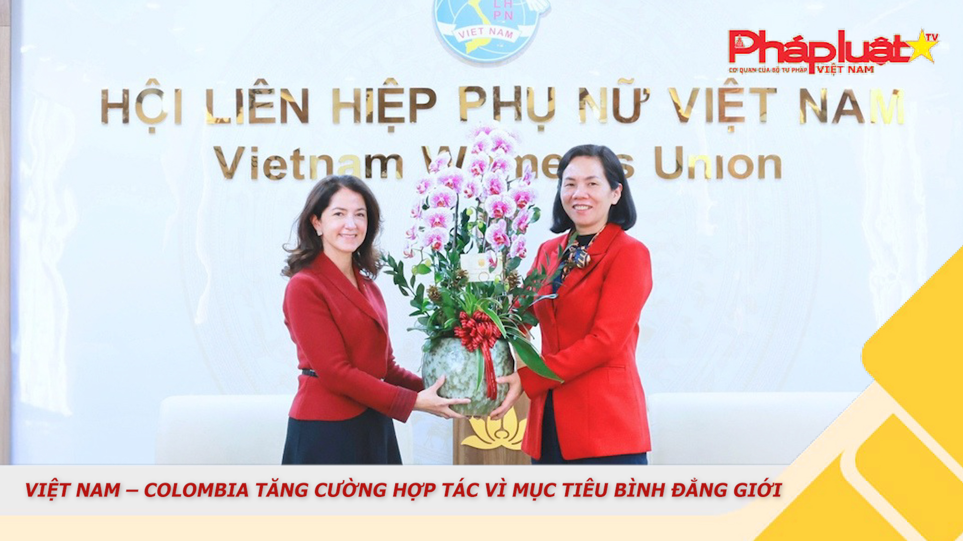 Bản tin Phòng chống Bạo hành Phụ nữ và Trẻ em (ngày 27/01/2026): Việt Nam – Colombia tăng cường hợp tác vì mục tiêu bình đẳng giới

