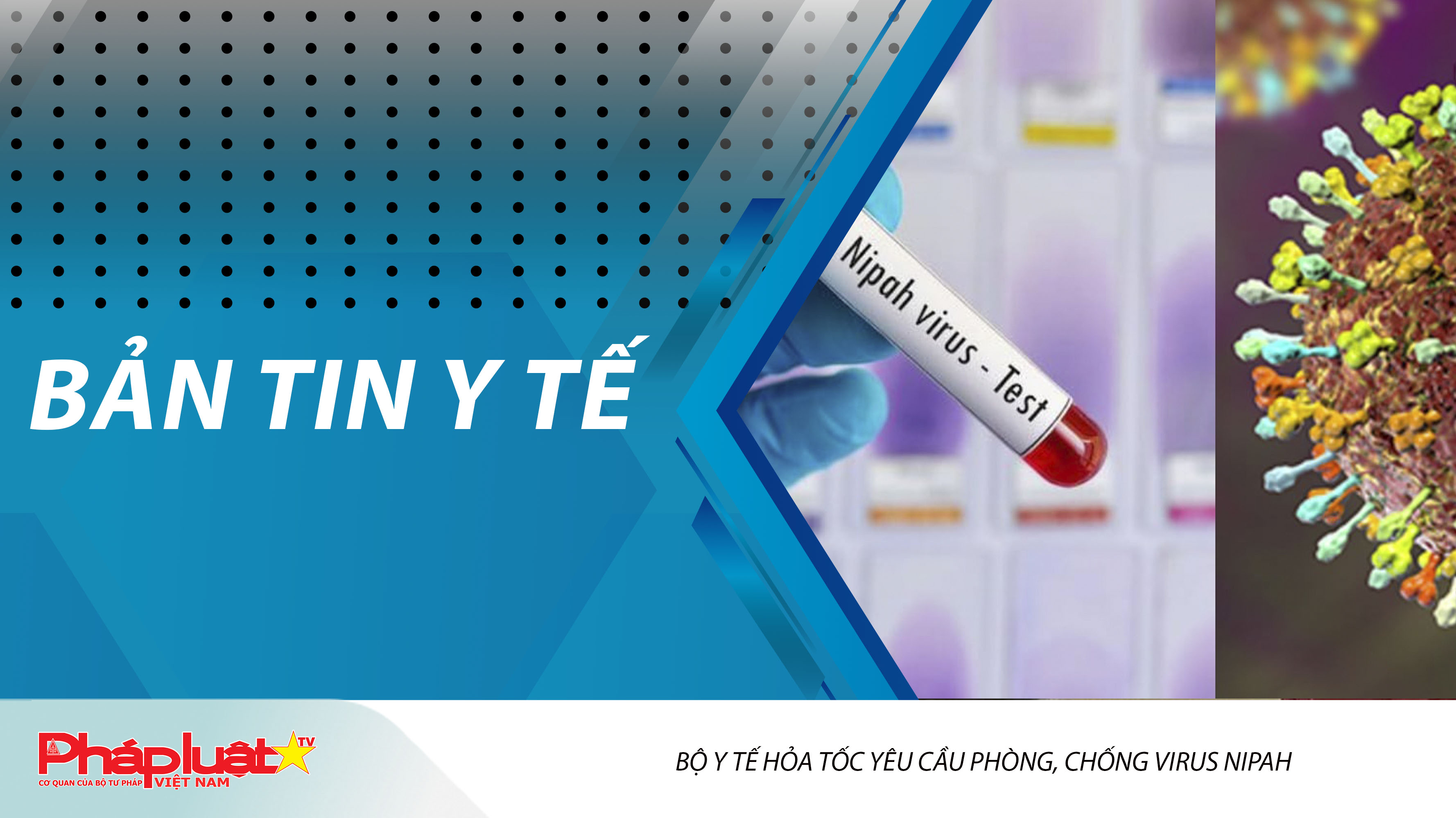 Bản tin Y tế (ngày 29/01/2026): Bộ Y tế hỏa tốc yêu cầu phòng, chống virus Nipah