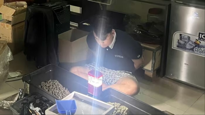 Điểm nóng trưa 29/1: Phát hiện 'vườn' cần sa ngay trong lòng thành phố Đà Nẵng