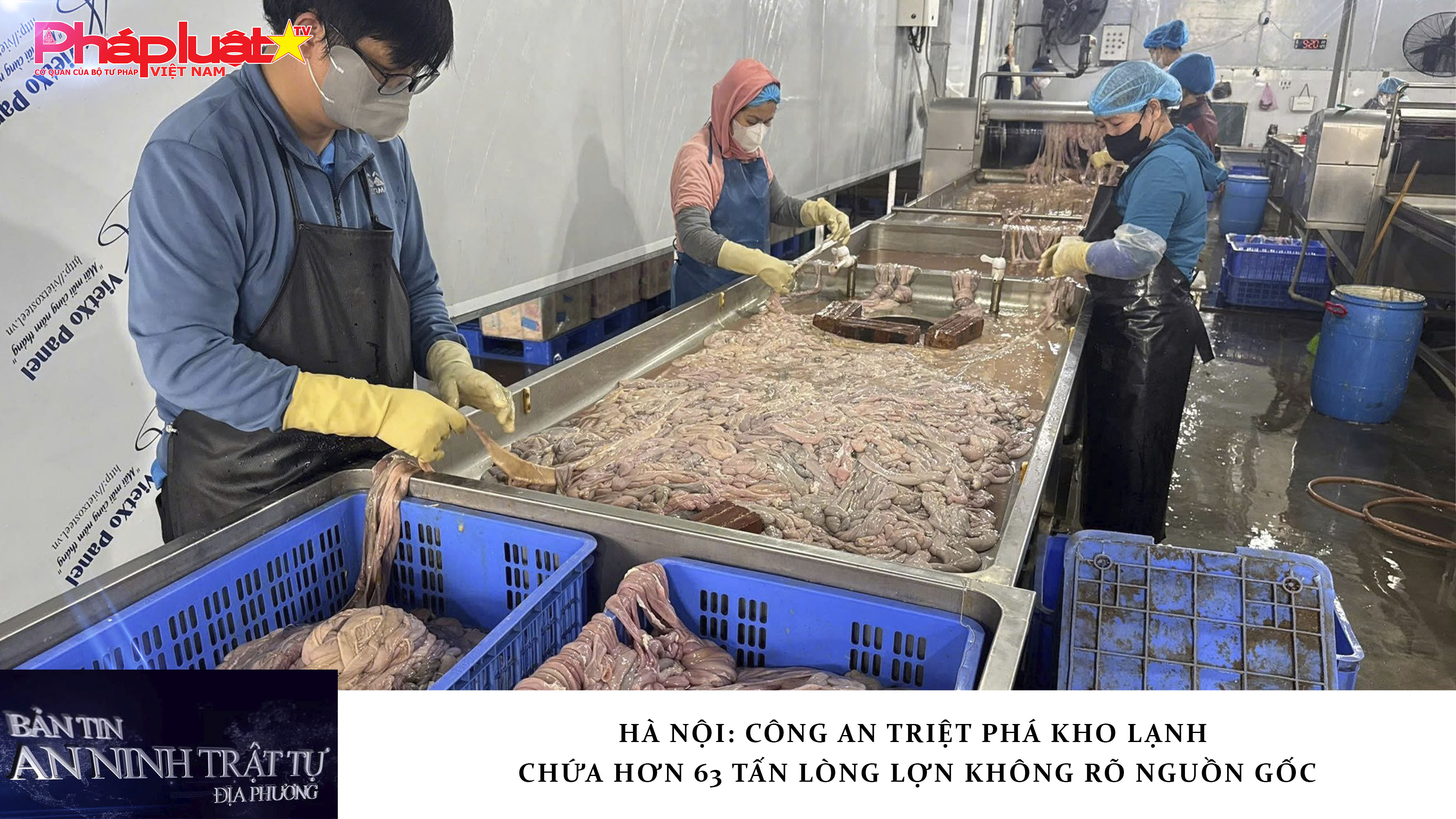 Bản tin An ninh trật tự địa phương (ngày 30/01/2026): Hà Nội: Công an triệt phá kho lạnh chứa hơn 63 tấn lòng lợn không rõ nguồn gốc