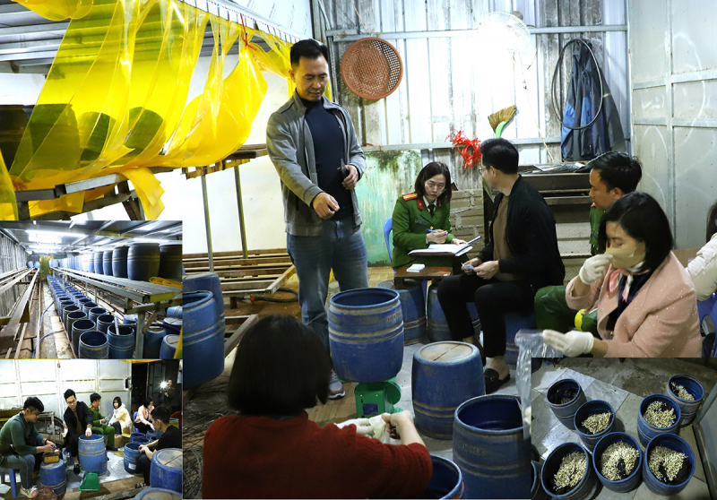 Bắt tạm giam đối tượng sản xuất gần 2,8 tấn giá đỗ bằng chất cấm