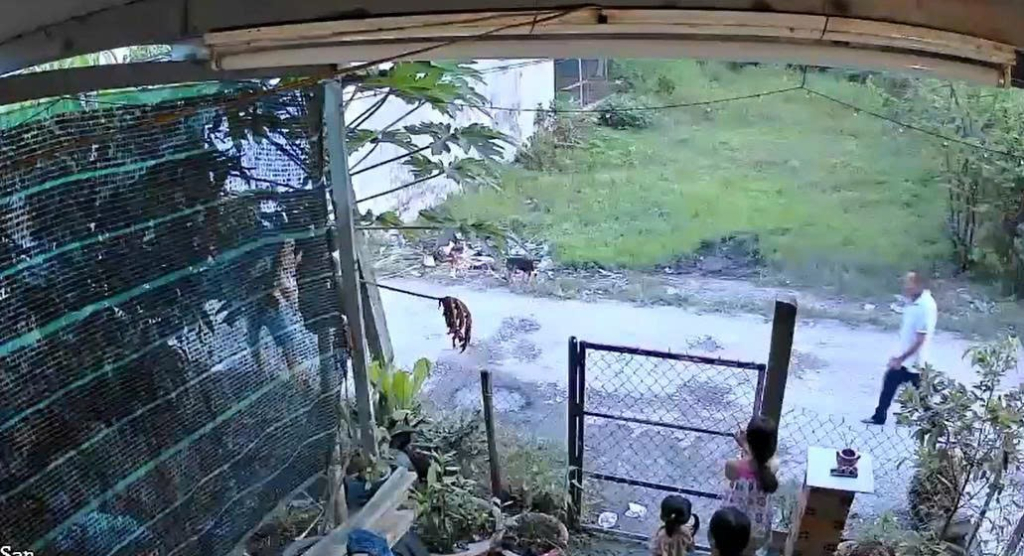 Mâu thuẫn đất đai, cậu vung dao chém cháu