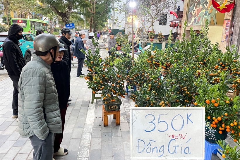 Nỗi lo trắng tay của tiểu thương chợ Tết Bính Ngọ