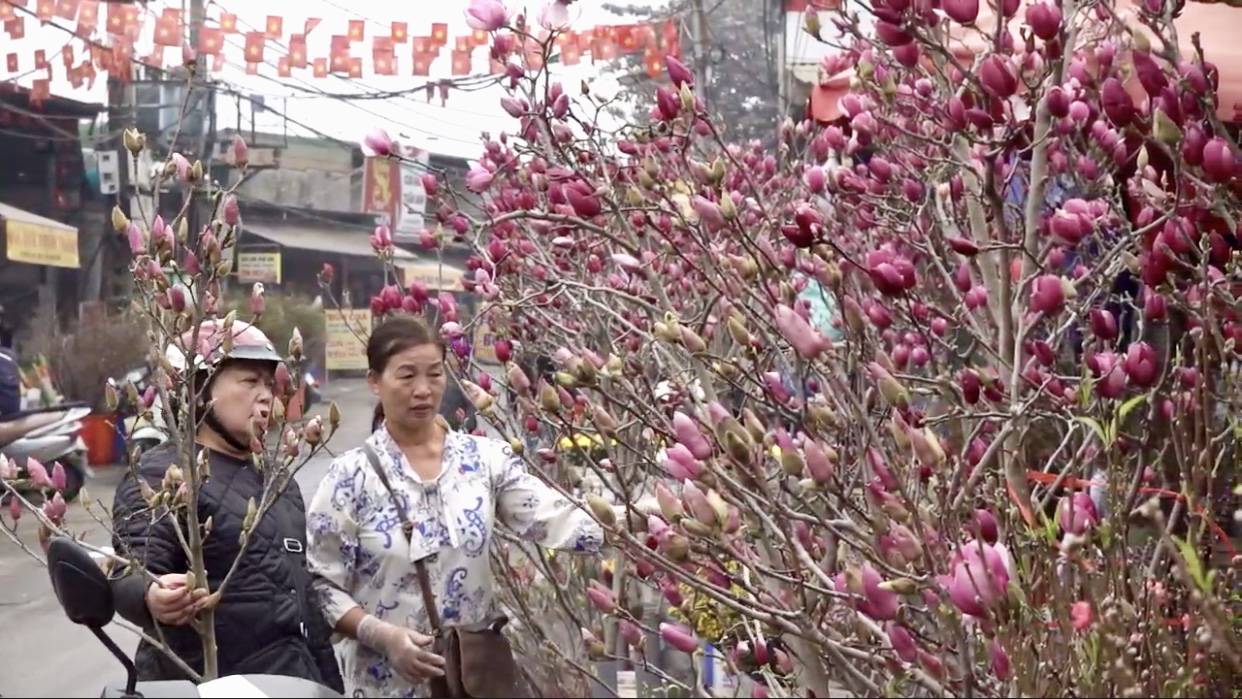 Chợ hoa Quảng An rực sắc gọi Xuân 2026