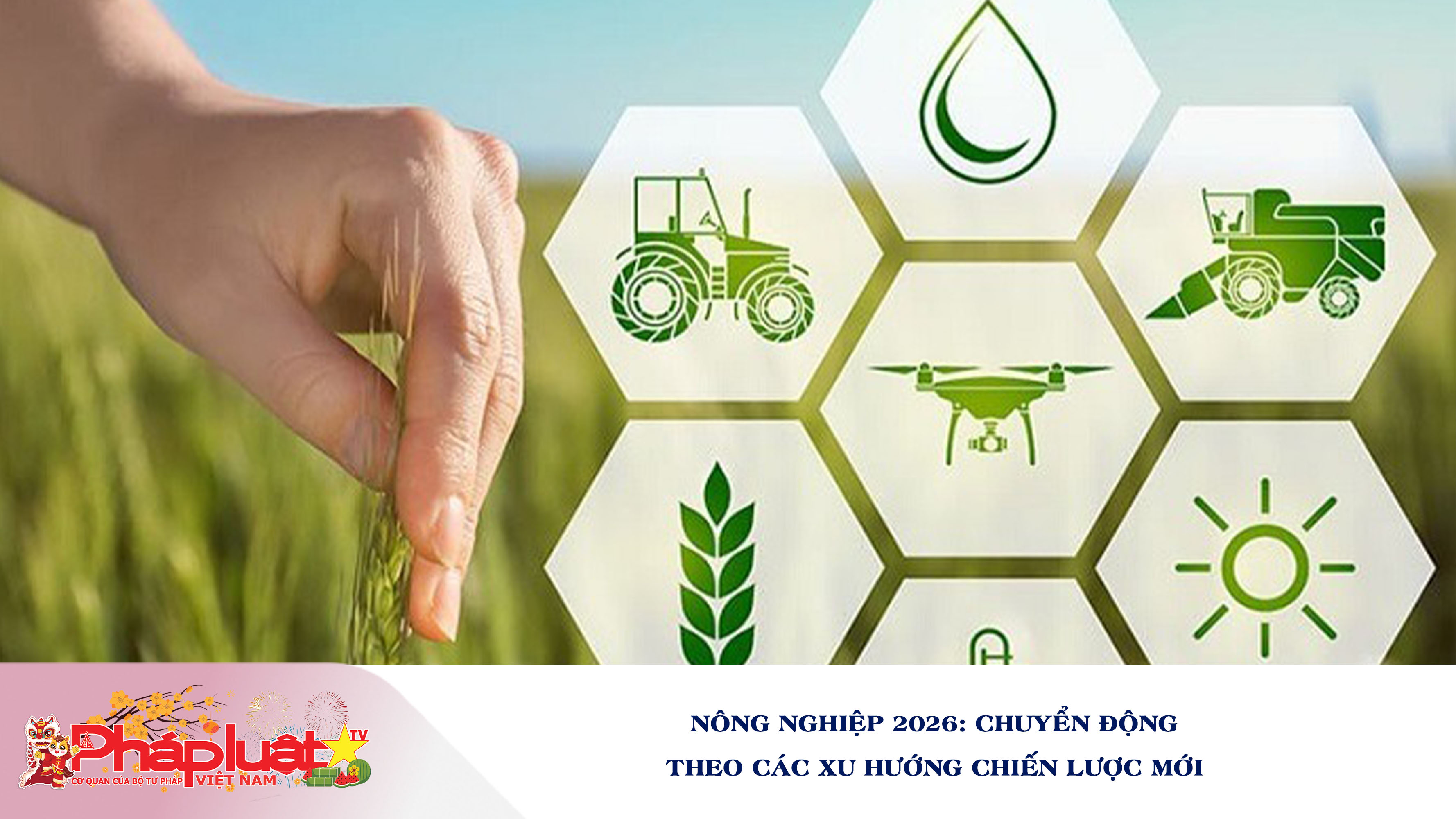 Nông nghiệp 2026: Chuyển động theo các xu hướng chiến lược mới 