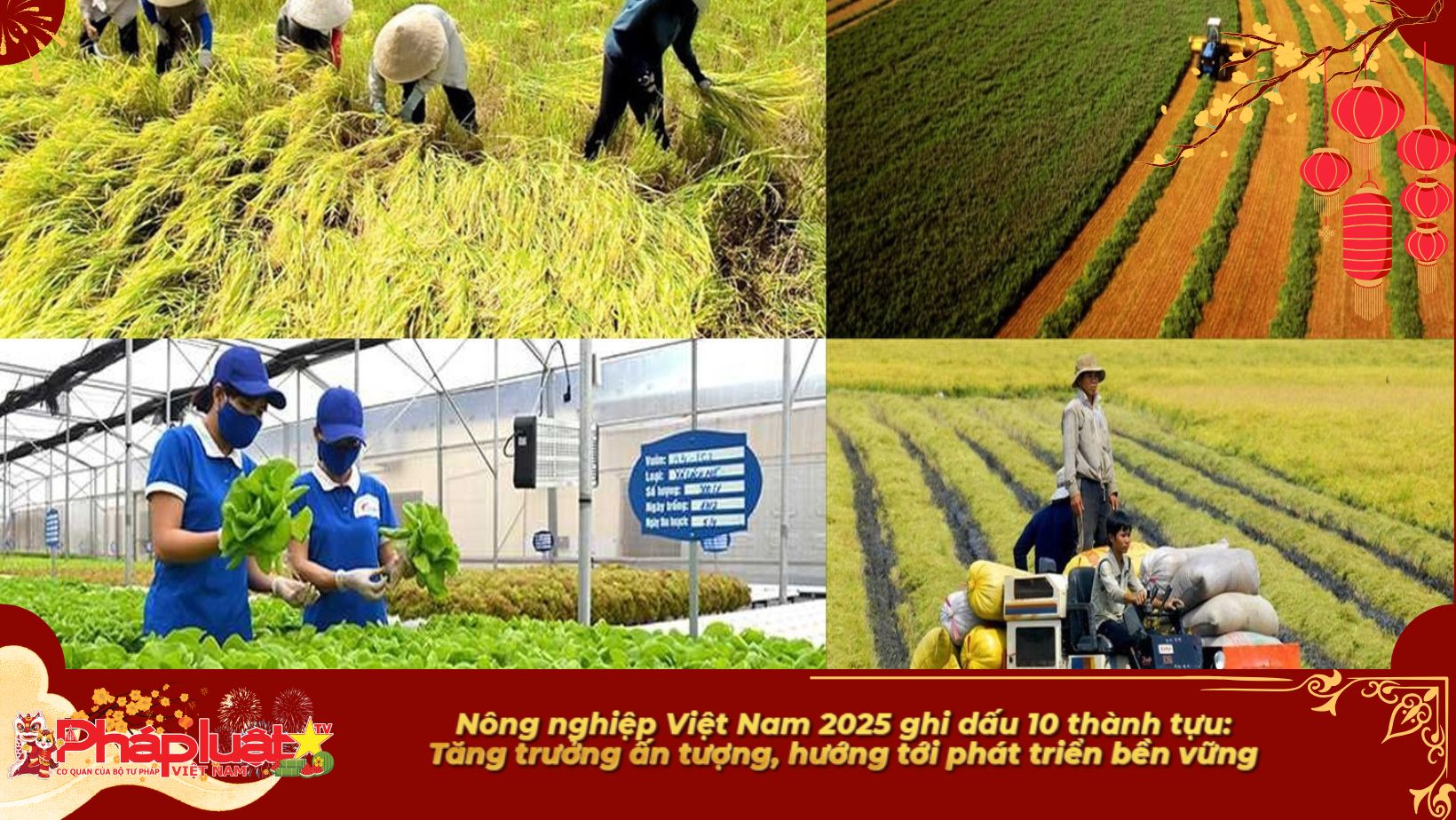 Nông nghiệp Việt Nam 2025 ghi dấu 10 thành tựu: Tăng trưởng ấn tượng, hướng tới phát triển bền vững 