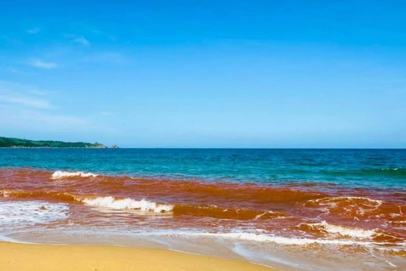 Nguyên nhân nước biển đổi sang màu đỏ kỳ lạ tại Gia Lai